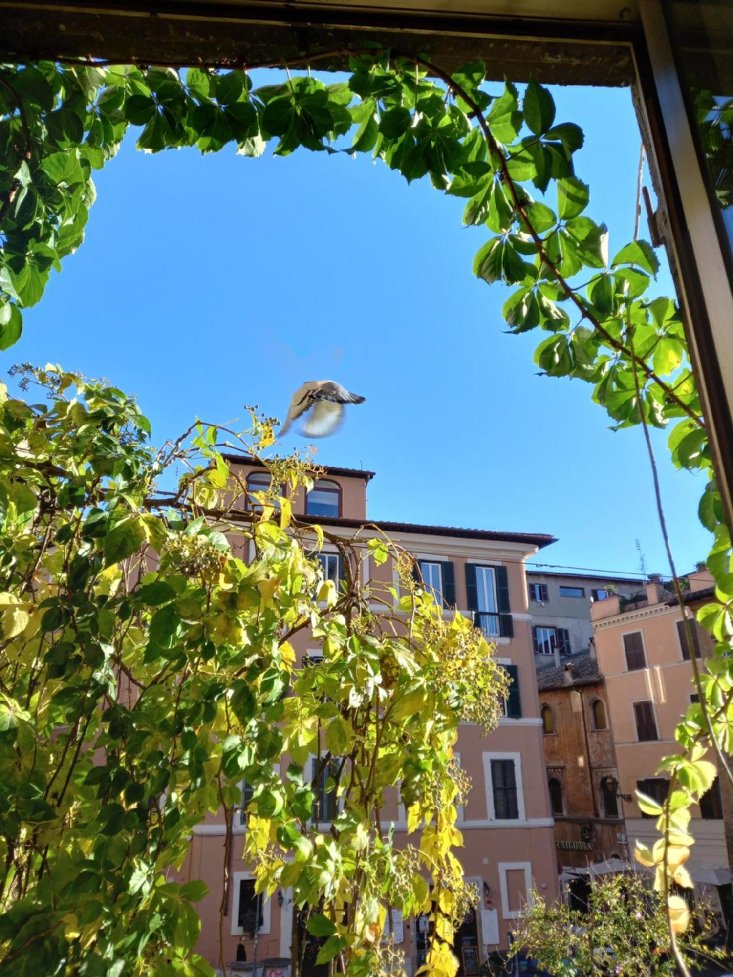 In Trastevere Appartamento Roma
